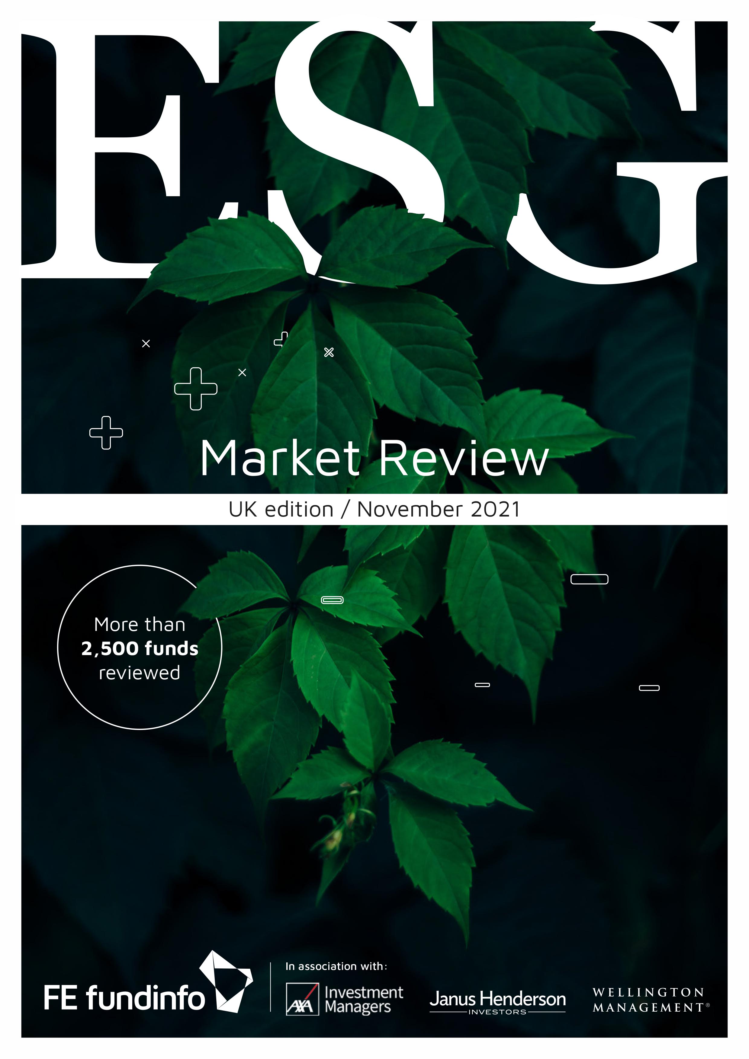2021 ESG Market Review